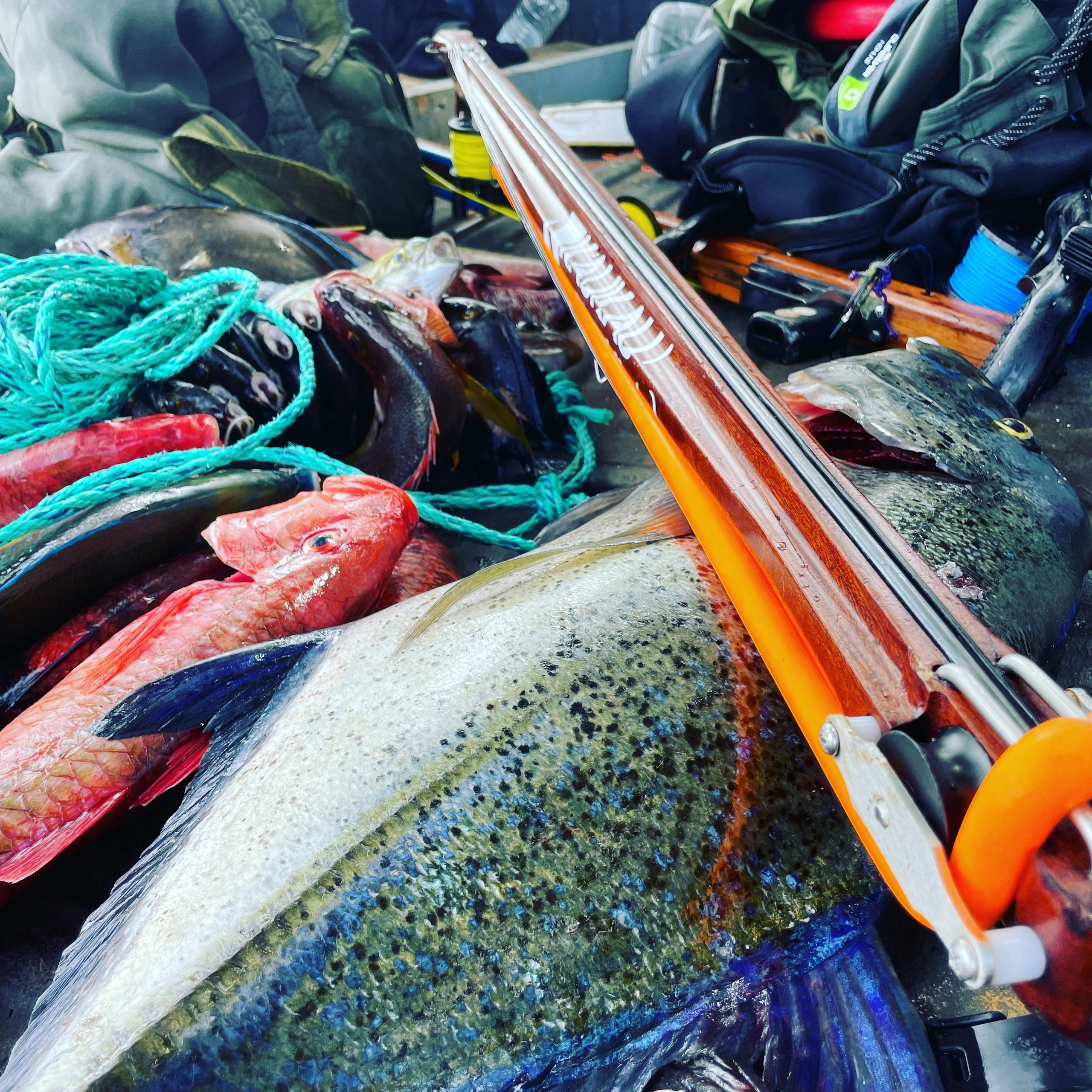 Kaukaustick Wooden Spearguns, Spearguns, Speargun Fishing Equipment