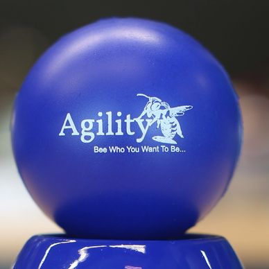 Agility Bee - Stress balls. agilitybee.com 