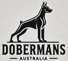 Dobermans Australia 