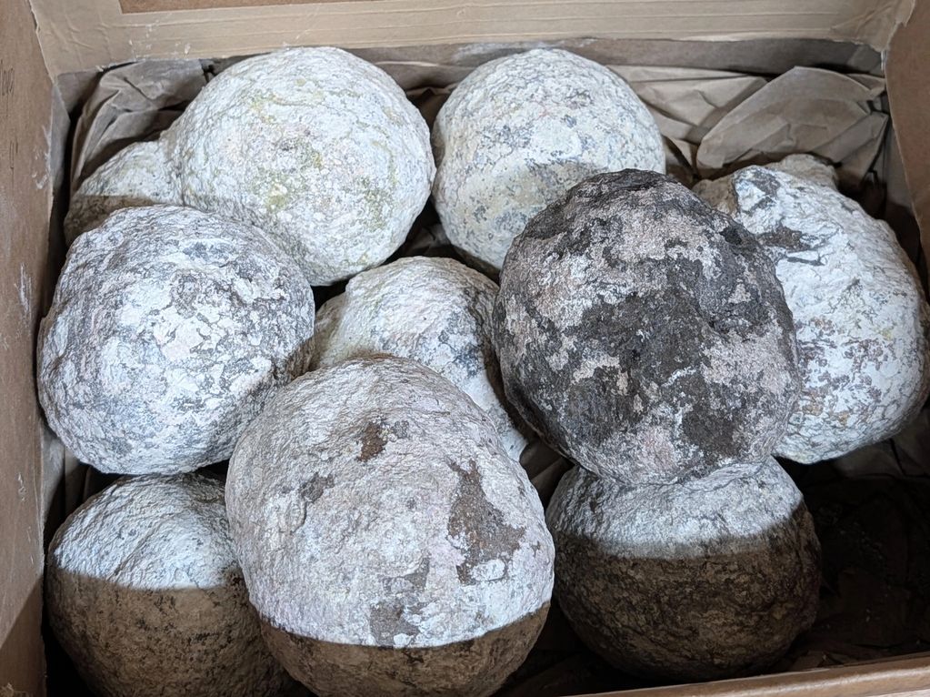 Box of round rocks or geological samples.