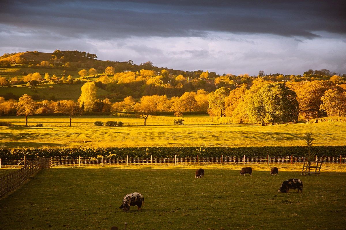 The view of the Yorkshire dales.
