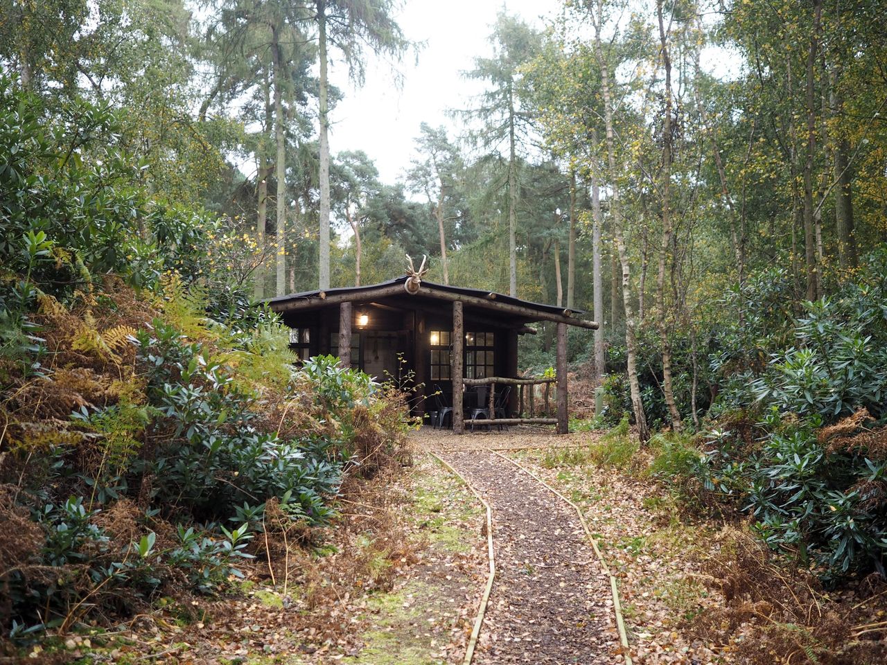 A path leading up to one of the woodland hideaways.