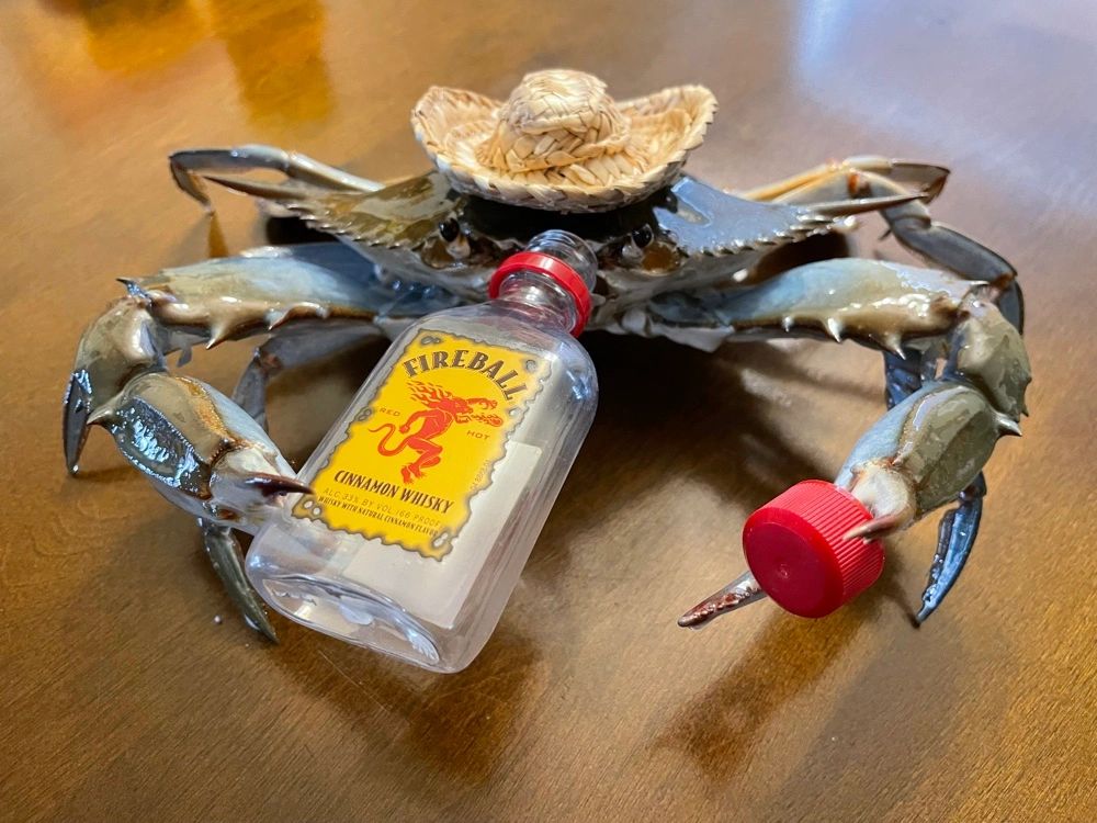 fireball blue crab 呂