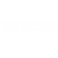 Vamos a Rumbear