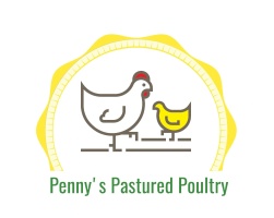 Penny's Pastured Poultry
