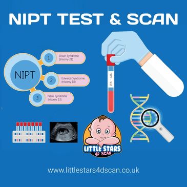 NIPT & Early Pregnancy Scan in just £395 - Little Stars 4D Scan - Pregnancy Scan & DNA Test Clinic