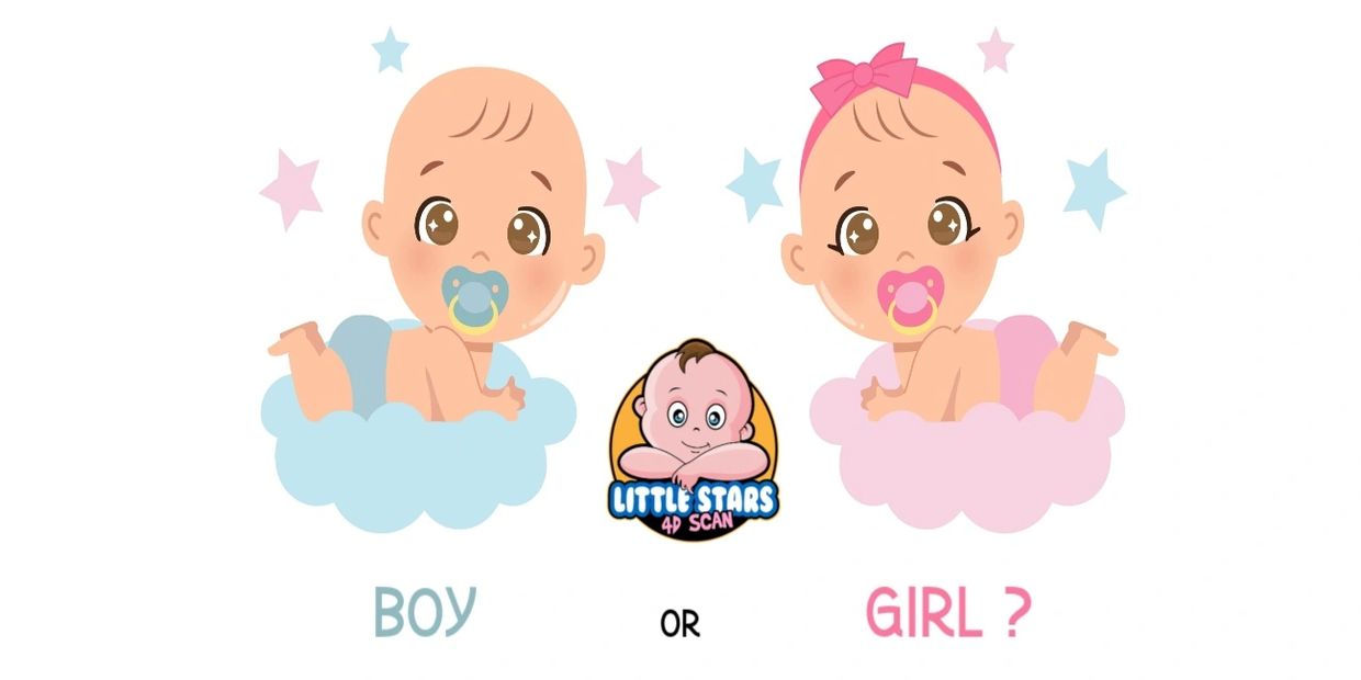 Gender Scan | 15 Weeks Gender Scan | Pregnancy Scan Clinic | Little Stars 4D Scan | Boy or Girl ?