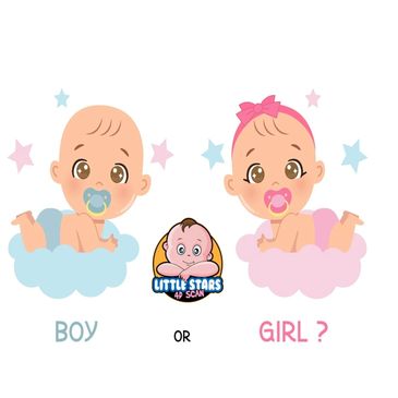 Know Your Baby's Gender - 15 weeks Scan - Little Stars 4D Scan - Pregnancy Scan Clinic Nottingham