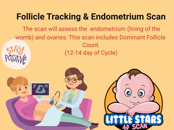 Endometrium Scan, Little Stars 4D Scan, Pelvic Scans, Fertility Scans, Follicle Tracking Scan
