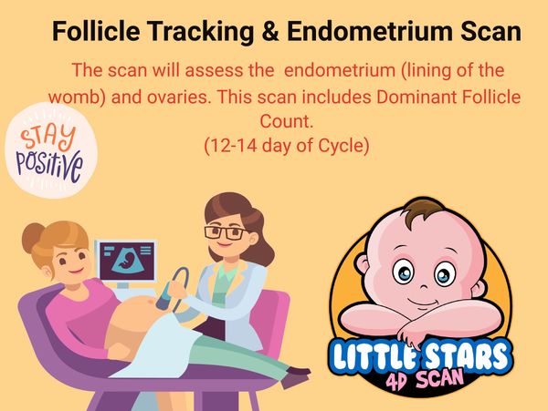 Follicle Tracking Scan, IVF Scan, Fertility Scan, Endometrium Scan, Fertility Monitoring Scan