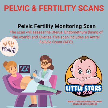 Fertility Monitoring scan, Antral follicle count scan, uterus and ovaries scan, pelvic scan