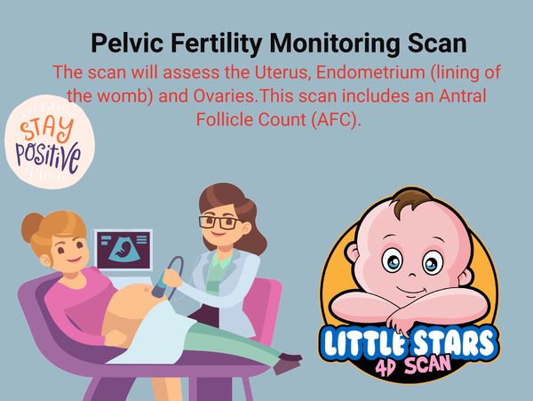 Pelvic Fertility Monitoring Scan, Little Stars 4D Scan, Pelvic Scans, Fertility Scans, Follicle Scan