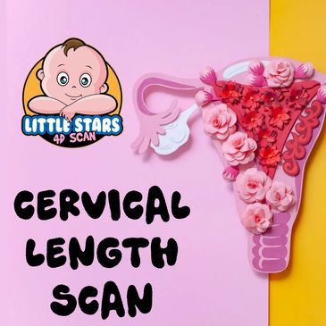 Cervical Length Scan derby
Little Stars 4d Scan
Pregnancy Scans
Fertility scans
cervix asses scan