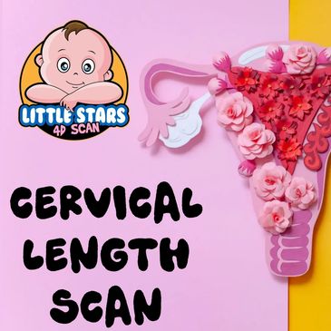 Cervical length scan leicester