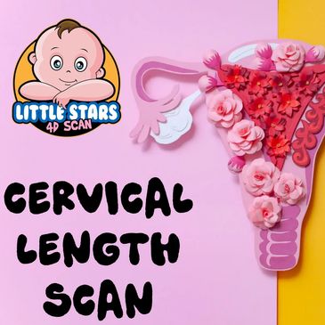 Cervical Length Scan
Little Stars 4d Scan
Pregnancy Scans
Fertility scans
cervix asses scan