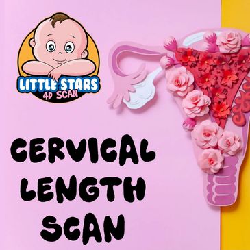 Cervical length scan loughborough, little stars 4d scan, pregnancy scan loughborough