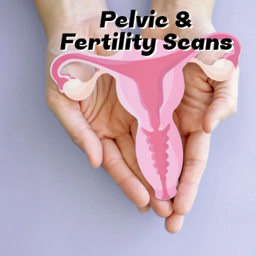 Pelvic scan uterus ovaries
Full fertility hormone blood panel: AMH, FSH, LH, oestradiol, prolactin