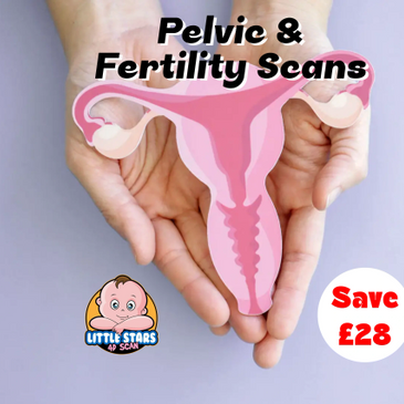 Pelvic scan uterus ovaries
Full fertility hormone blood panel: AMH, FSH, LH, oestradiol, prolactin, 