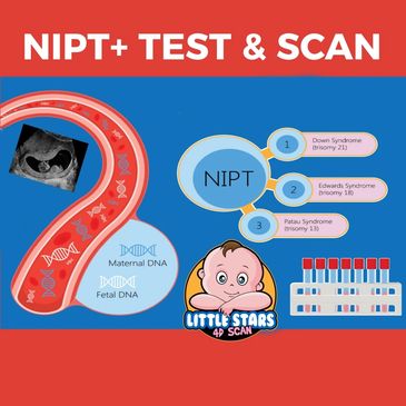 NIPT+ and Pregnancy Scan in just £495 - Little Stars 4D Scan - Pregnancy Scan & DNA Test Clinic 