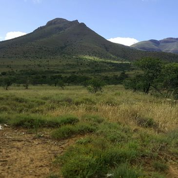 A serene mountain landscape with green fields and scattered trees under a clear blue sky.