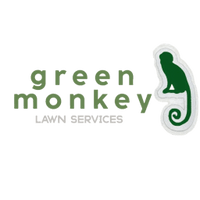 Green Monkey Marketing, Lakewood, CO
