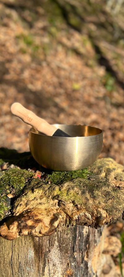 A singing bowl with a wooden mallet resting on a mossy tree stump outdoors.
