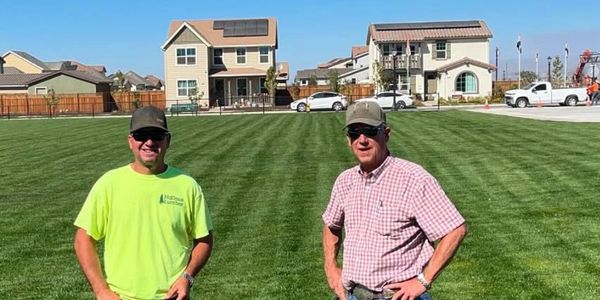 Generation landscapers