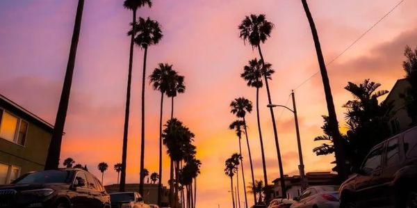 Sunset view of a palm-lined street with cars parked along the sides.