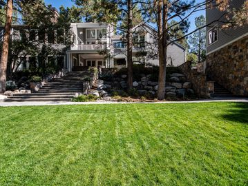 Close picture of garden