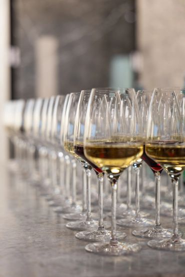 Rows of wine glasses with white and red wine.