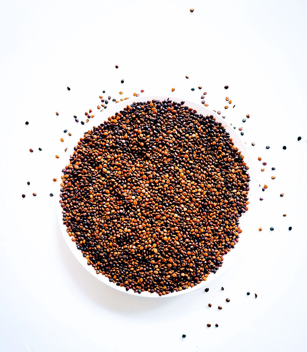 Graines de kinkéliba.