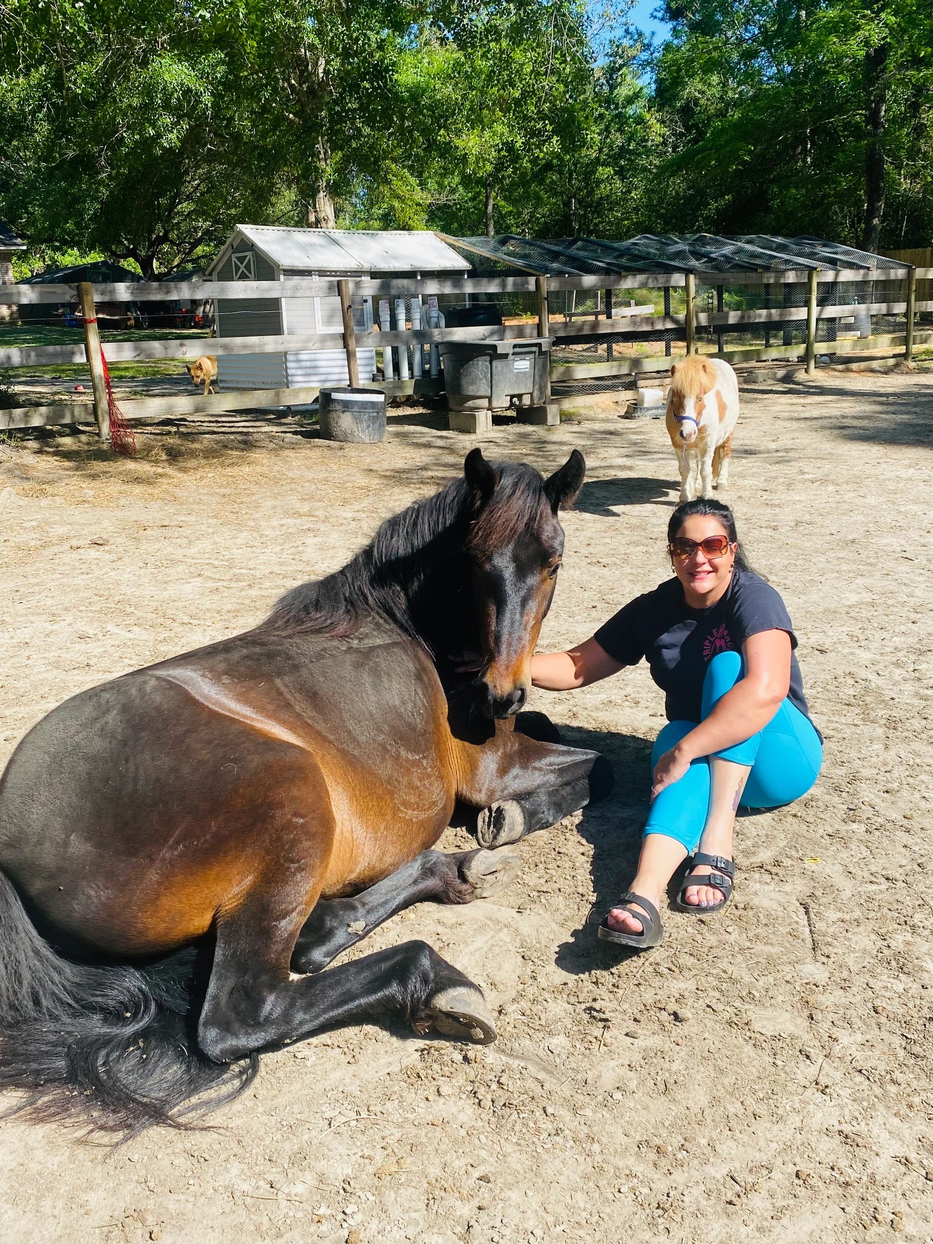 Horse Therapy
