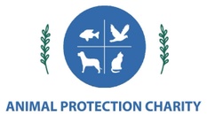 ANIMAL PROTECTION CHARITY
