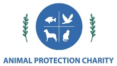 ANIMAL PROTECTION CHARITY