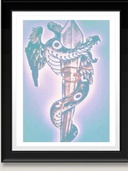 Taylor’s Transgender Patient Awareness LLC