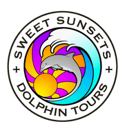 Sweet Sunsets and Dolphin Tours