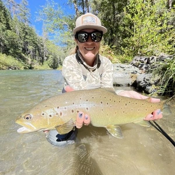 Person holding a large fish in a river with trees in the background.