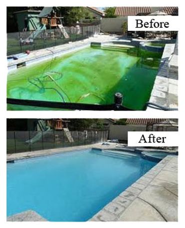 pool clean cleaning