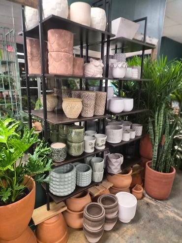 Shelves filled with various decorative and textured plant pots in a garden store.