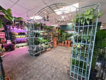 Indoor garden center with plants displayed on metal shelves and racks.