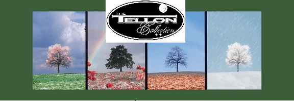 WELCOME TO 
TELLON INVESTMENTS 