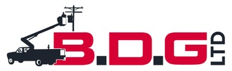 BDG