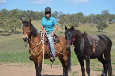 General Information | Victorian Brumby Association