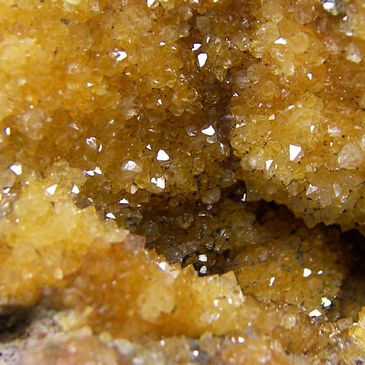Close-up of sparkling yellow-brown crystals on a mineral surface.