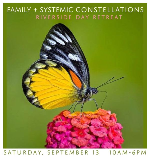 A colorful butterfly perched on a vibrant flower with retreat event details.