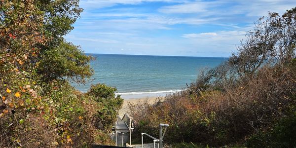 View of a beach through trees and bushes.