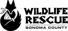 Sonoma County Wildlife Rescue