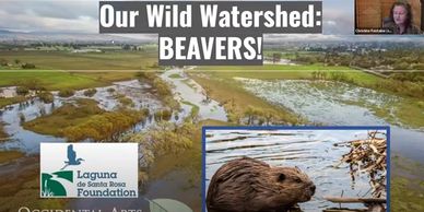 Volunteer Resources | Sonoma County Wildlife Rescue