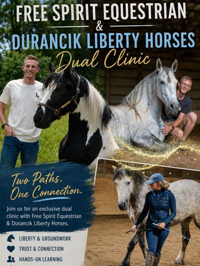 Promotional poster for Free Spirit Equestrian and Durancik Liberty Horses dual clinic.