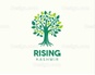Rising kashmir 
